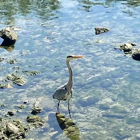 Apartament Casa Vittorio Turyn